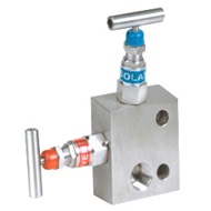 2 PTM 6 MANIFOLD